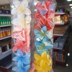 کلیپس گل پلومریا ایرانی