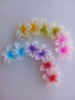 کلیپس گل پلومریا خارجی سایز کوچیک - Image 2